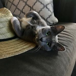 Meet your Posher, Jamie